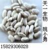 White Kidney Bean Extract 